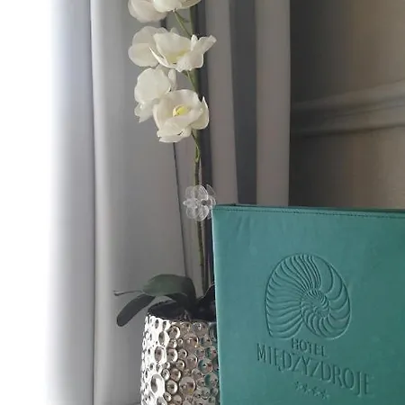 Przy Plazy アパートホテル ミエンジズドロイェ