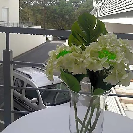 Apart Otel Przy Plazy 3*
