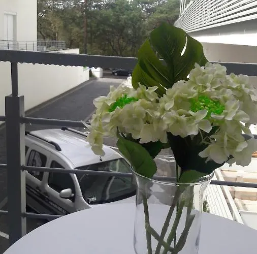 Przy Plazy Apartahotel